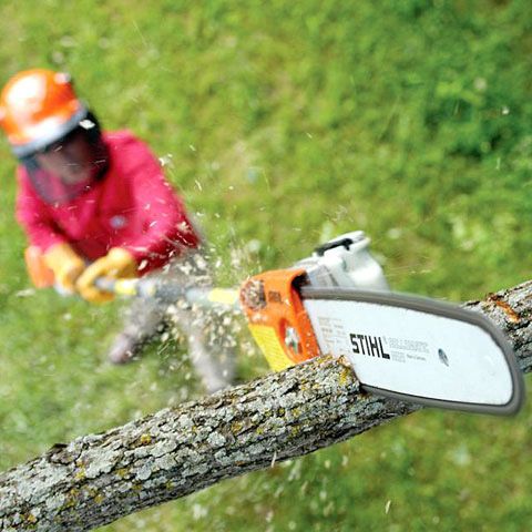 Motosierra Telescópica HT 105 Stihl 5
