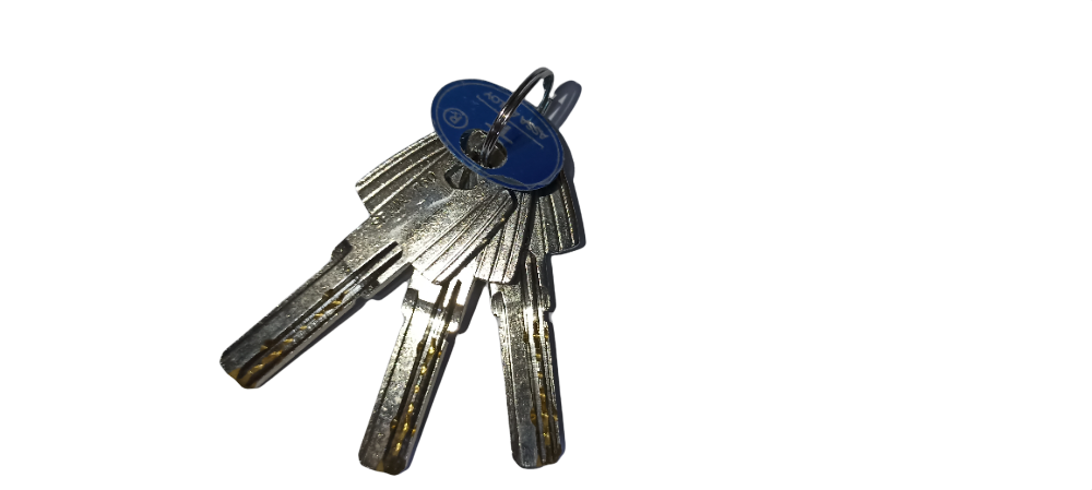 Cilindro Latonado T60 T6553535L Llave/Llave Tesa 3
