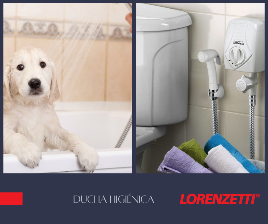 Calentador Ducha Higiénica Lorenzetti 3