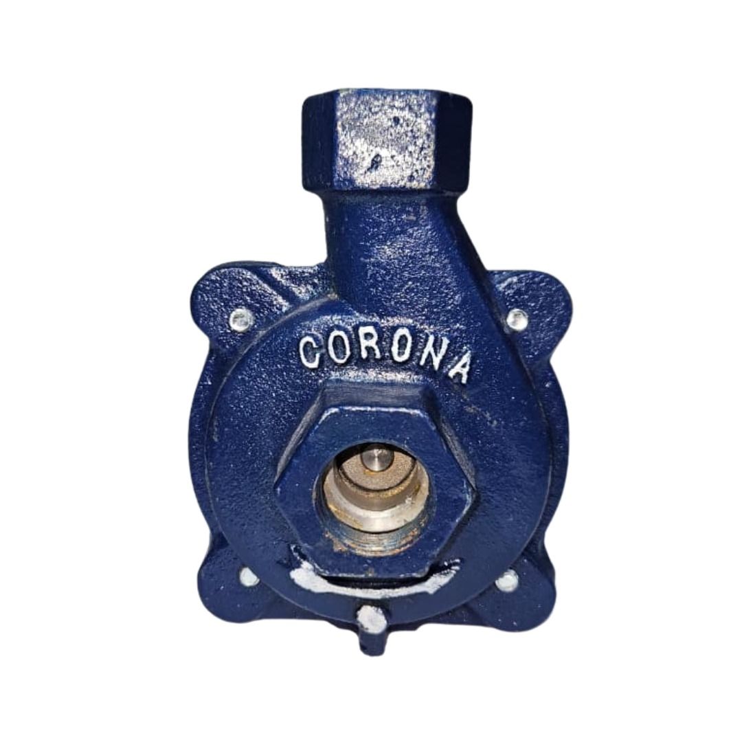 Bomba Centrifuga Weg