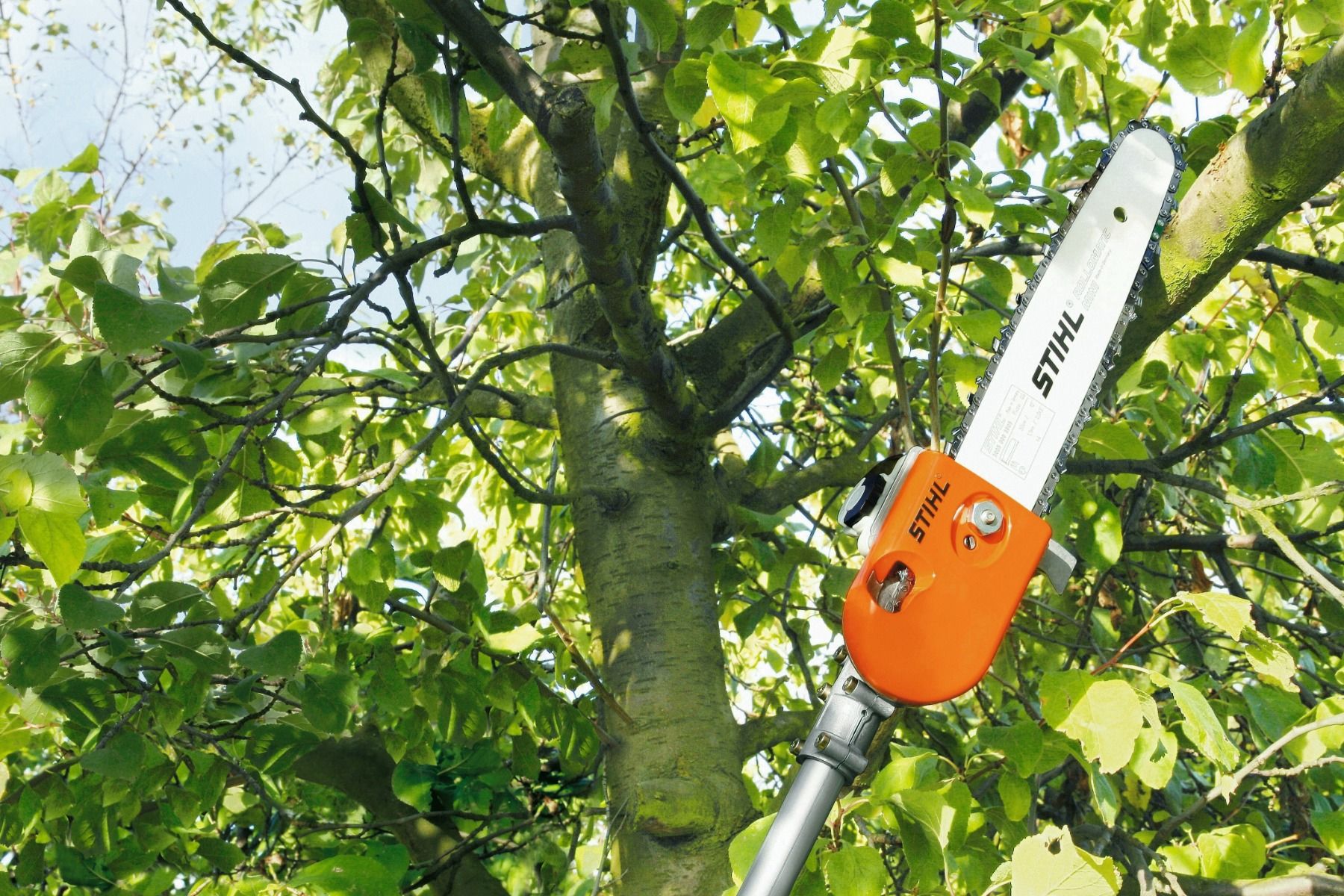 Motosierra telescópica HT 75 Stihl 4
